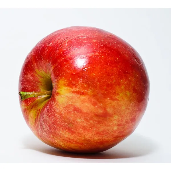 Apple (Shimla)