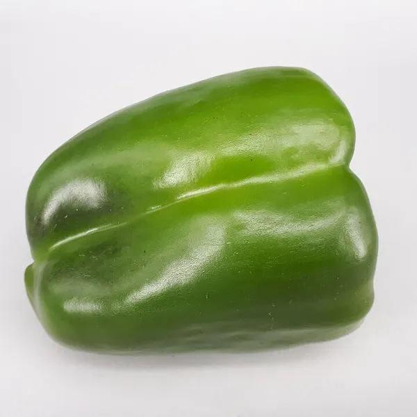 Capsicum