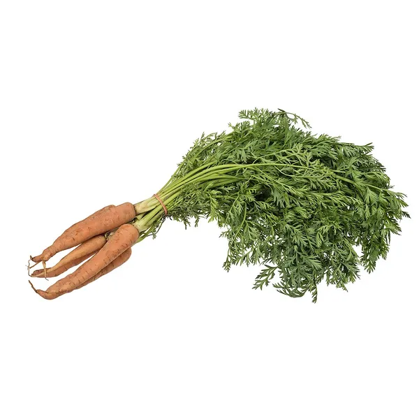 Carrot