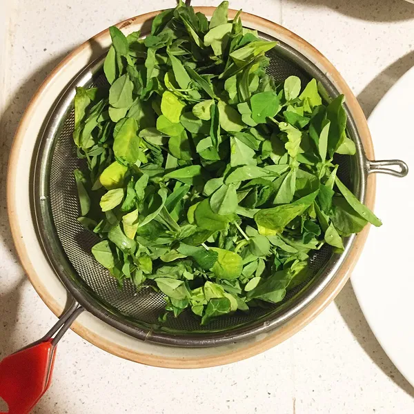 Fenugreek