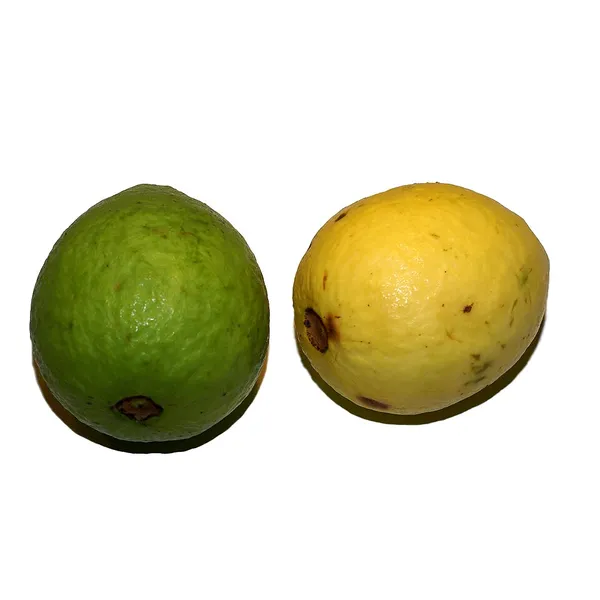Guava
