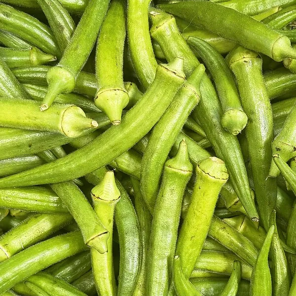 Lady Finger