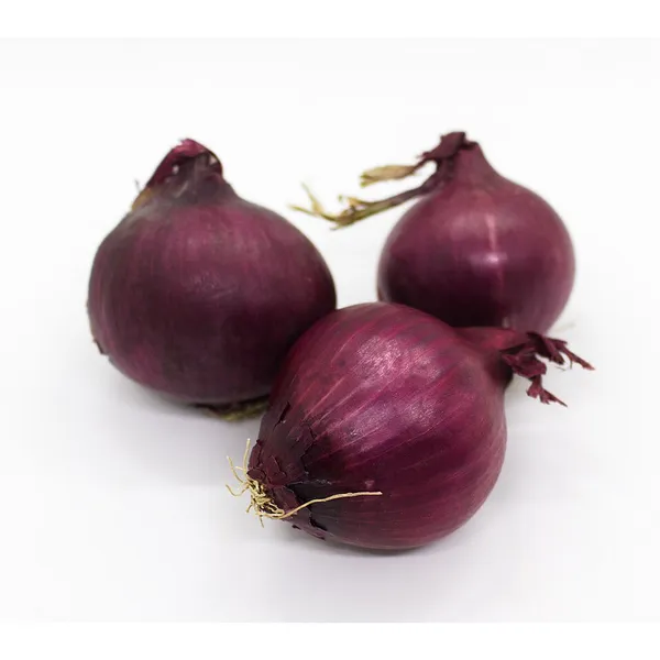 Onion