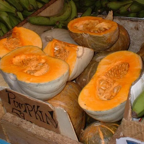 Pumpkin