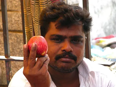 Apple (Shimla)
