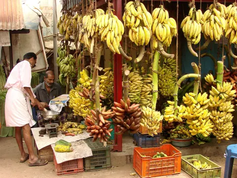 Banana