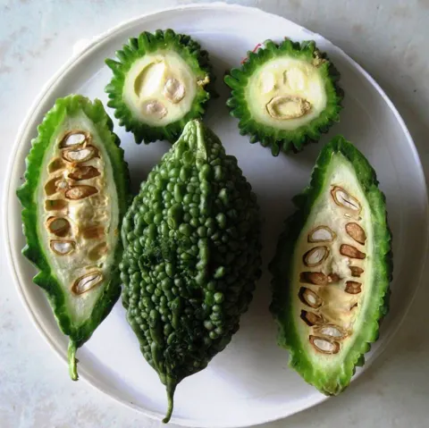 Bitter Gourd