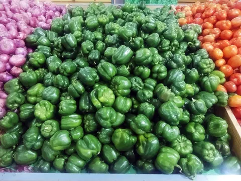 Capsicum
