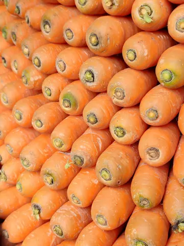 Carrot