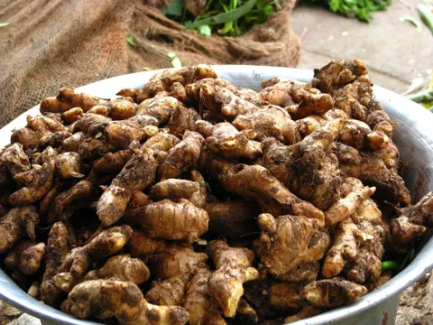 Ginger