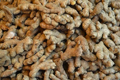 Ginger