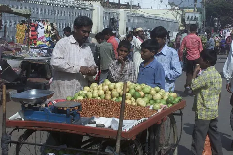 Guava