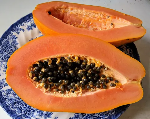 Papaya