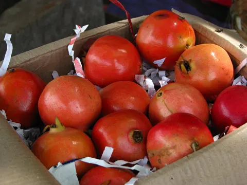Pomegranate