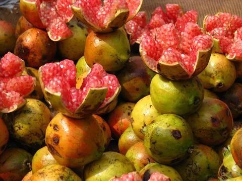 Pomegranate
