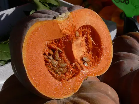 Pumpkin