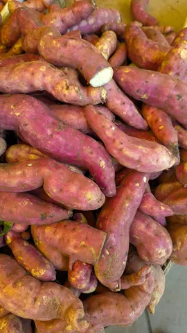 Sweet Potato