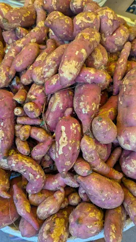 Sweet Potato