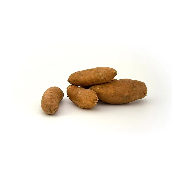 Sweet Potato
